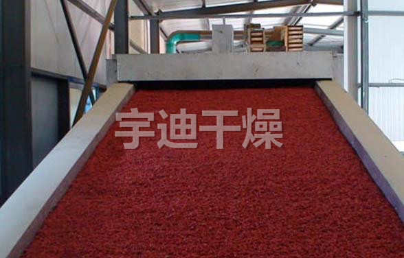 DWT系列脱水蔬菜干燥机