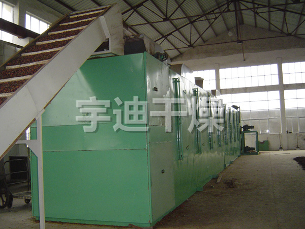 DWT系列脱水蔬菜干燥机